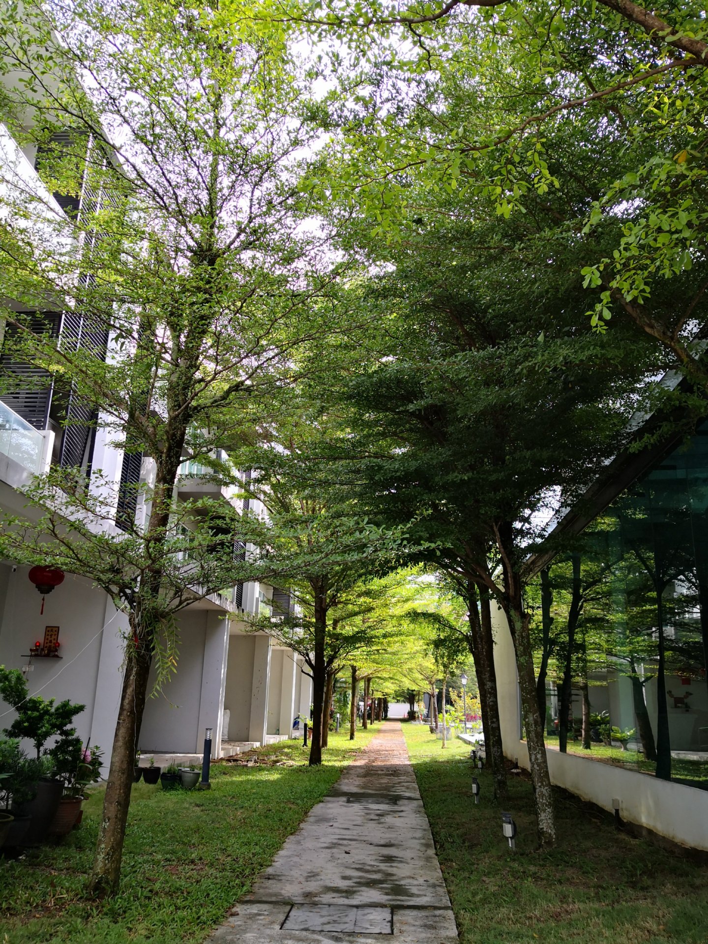 Orange Villa - photo 9
