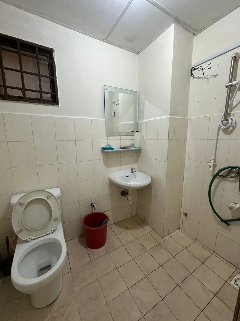 Palm Spring @ Damansara - photo 8