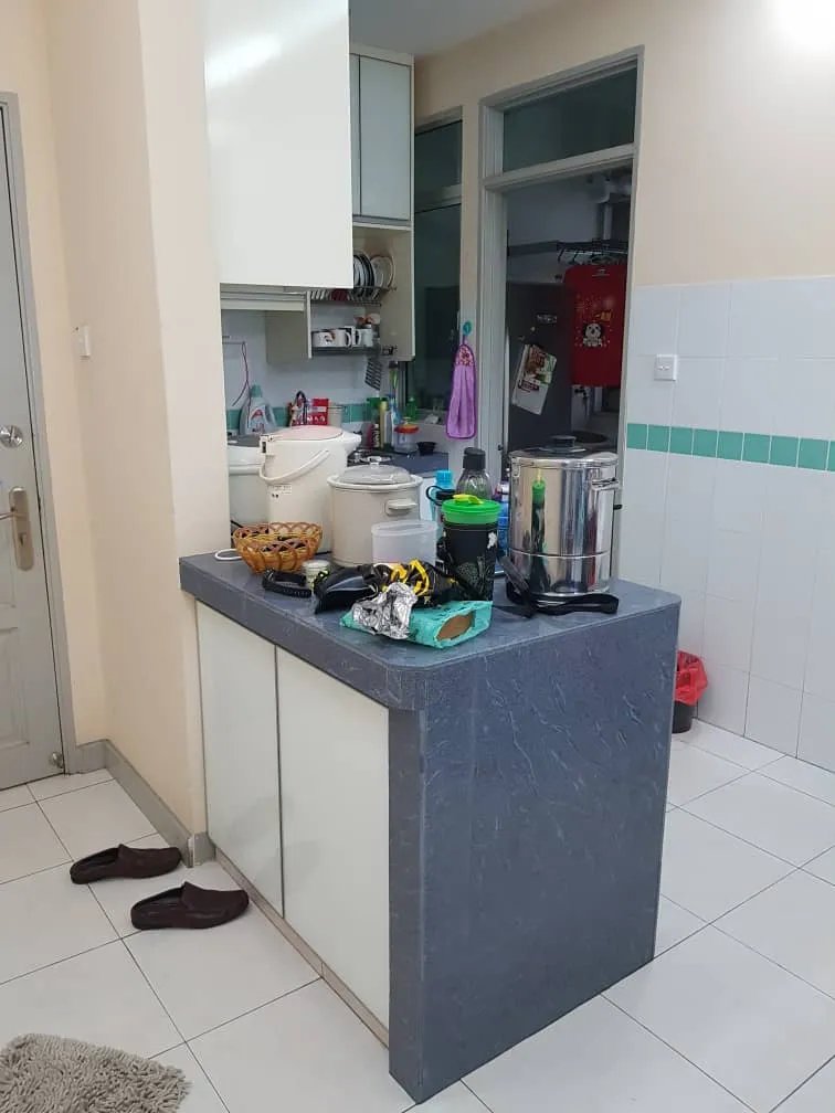 Damansara Perdana - photo 4