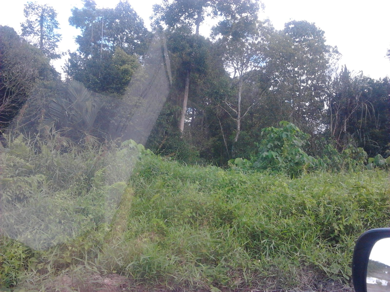 60 Acre Industrial Land Located at Sepang