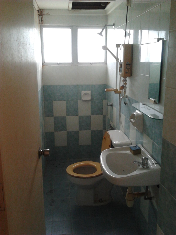 Elaeis 2 Condominium, Bukit Jelutong - photo 3