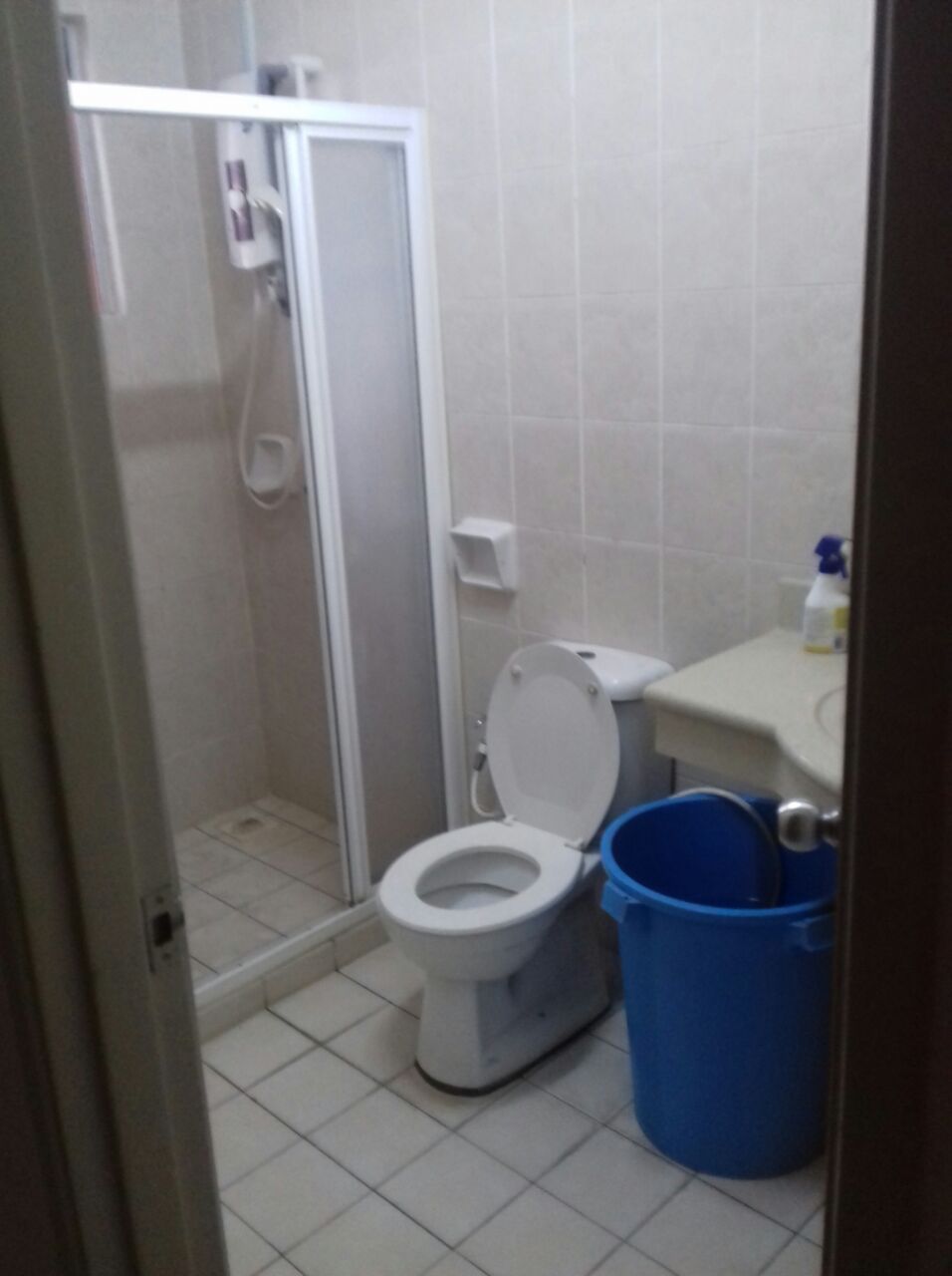 Greenview Condo, Partly Furnished, Sungai Long - photo 9