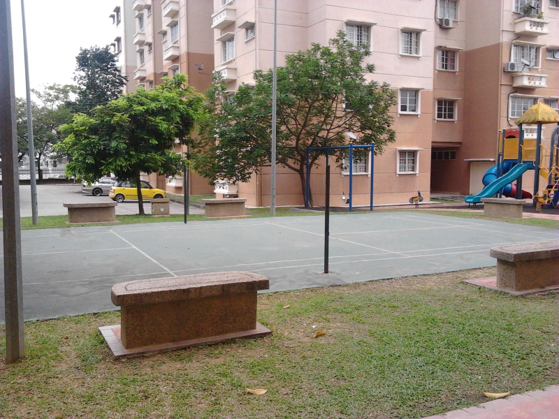 Elaeis 2 Condominium, Bukit Jelutong - photo 8