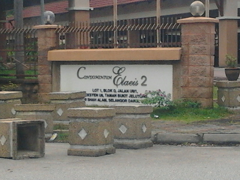 Elaeis 2 Condominium, Bukit Jelutong - photo 9