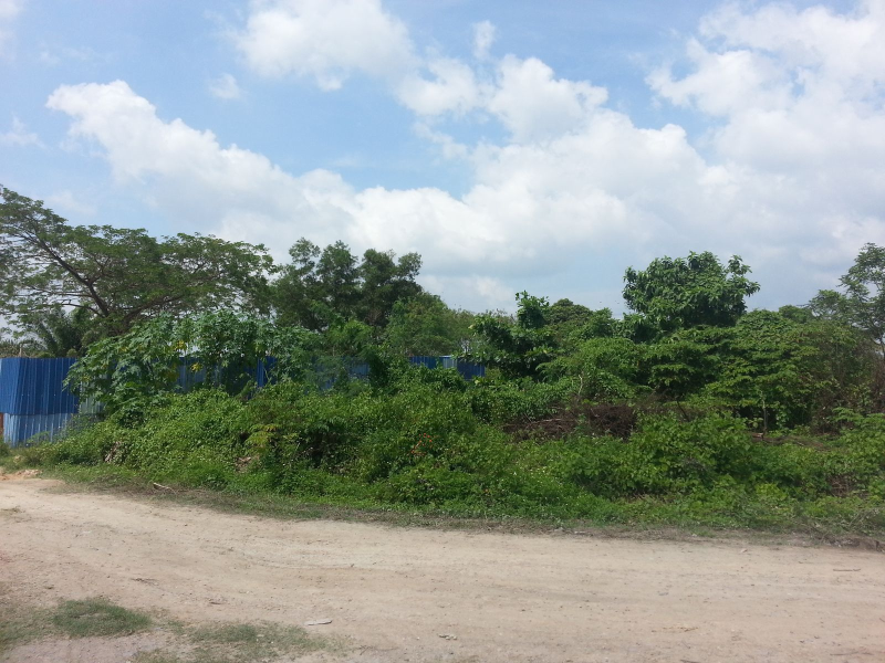Bungalow Land, Sekolah Rendah Agama Pekan Bangi - photo 4