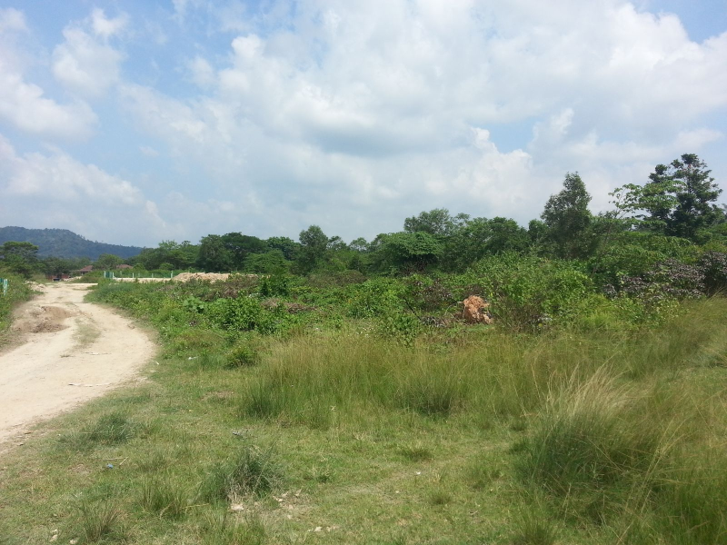 Bungalow Land, Sekolah Rendah Agama Pekan Bangi - photo 7