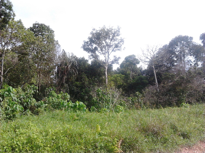 Sepang 60 Acre Industrial or Mix Development Land