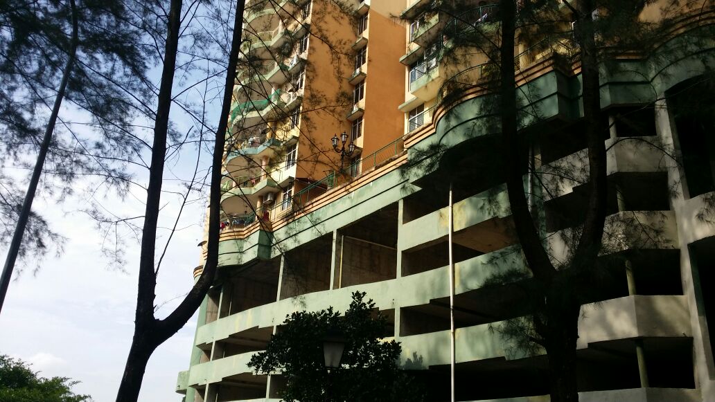 Venice Hill Condominium Tower 8 Unobstructed View - photo 2