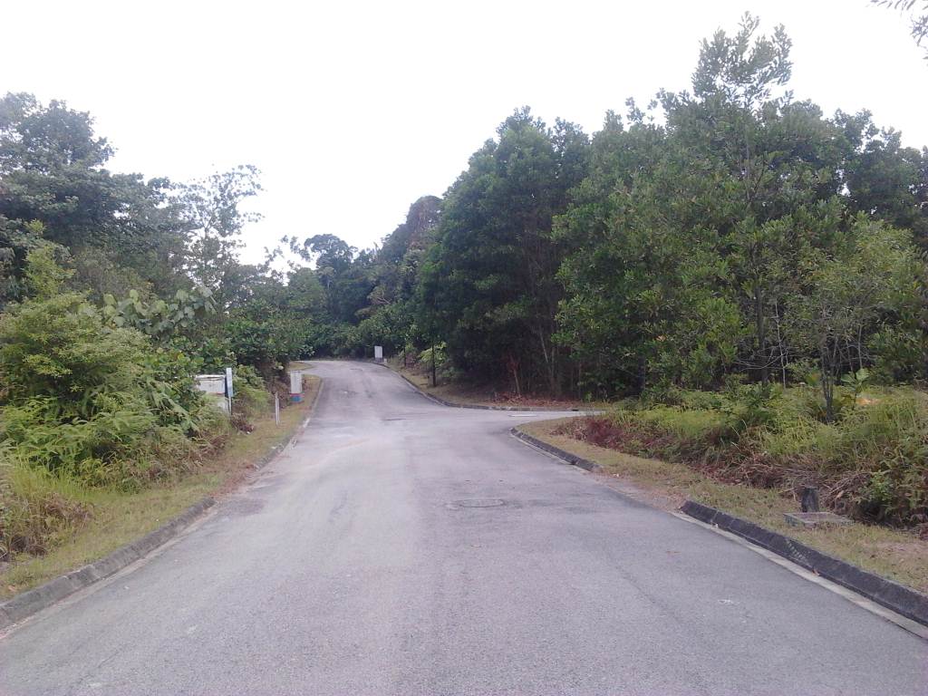 Taman Equine Bungalow Land Flat and Square 135PSF