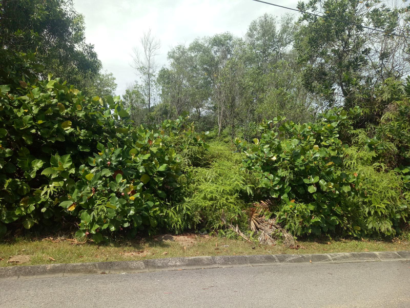 Taman Lestari Perdana 4 Flat Square Bungalow Land - photo 2