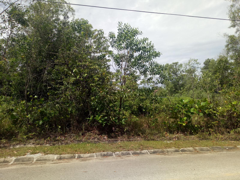 Taman Lestari Perdana 4 Flat Square Bungalow Land - photo 4
