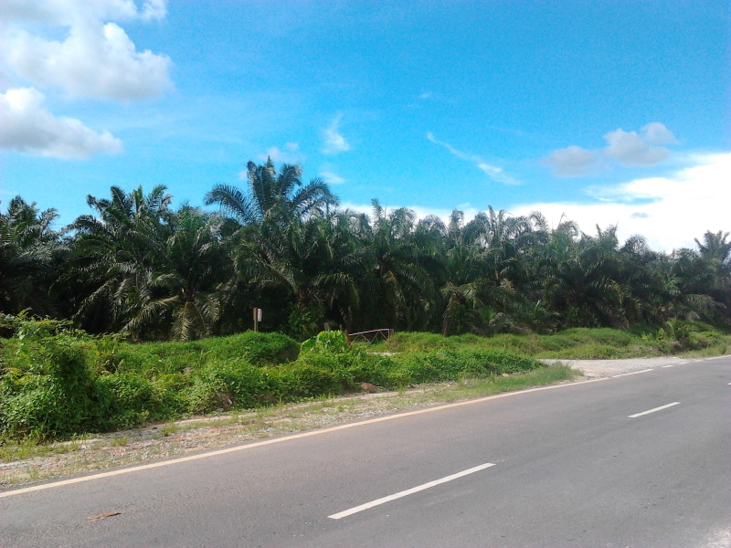 Sepang 60 Acre Industrial or Mix Development Land - photo 4