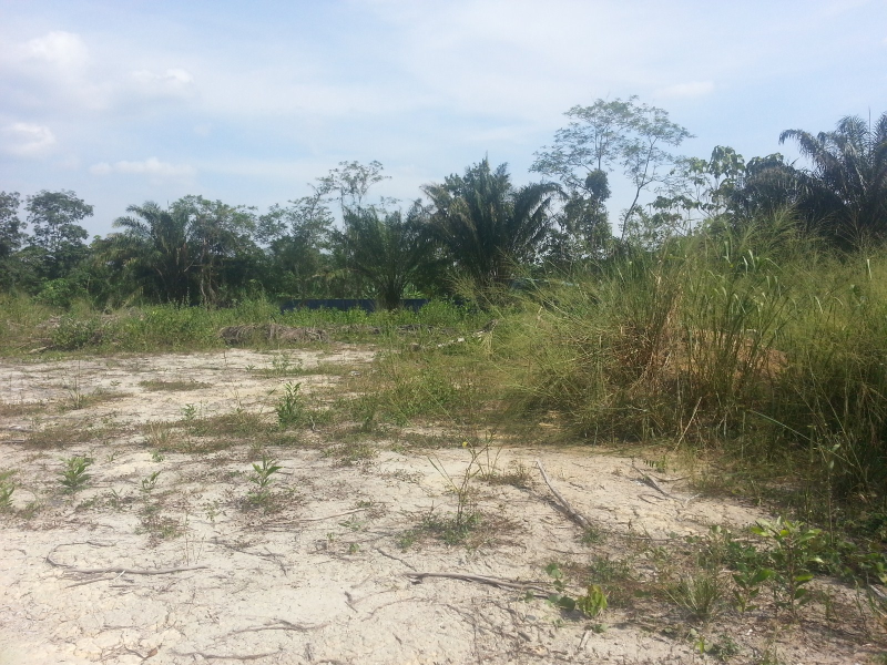 1 Acre Empty Land, Jalan Sungai Lalang, Semenyih