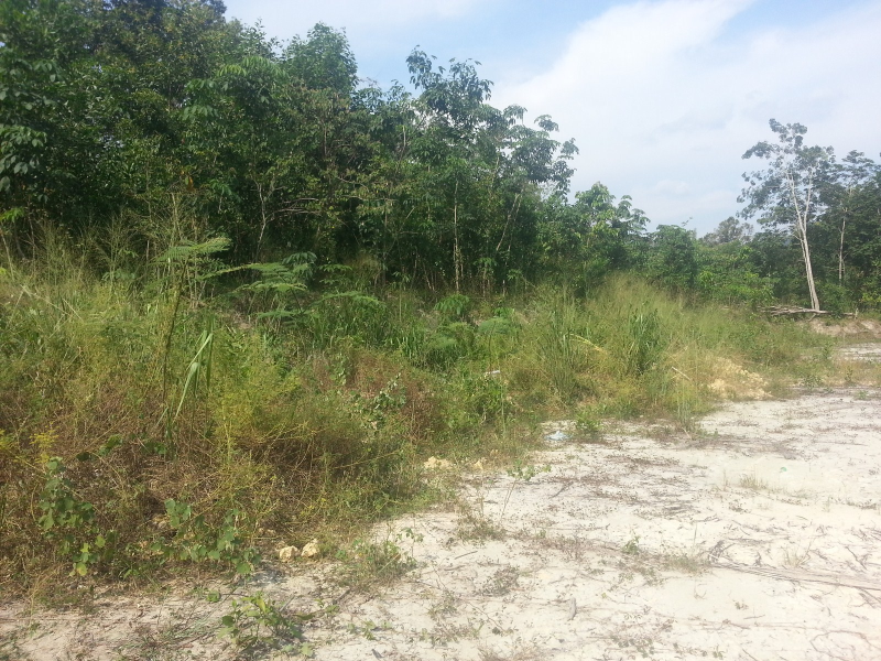 1 Acre Empty Land, Jalan Sungai Lalang, Semenyih - photo 3