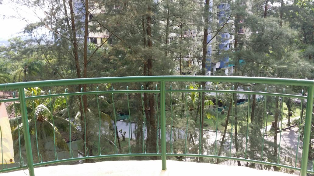 Venice Hill Condominium Tower 8 Unobstructed View