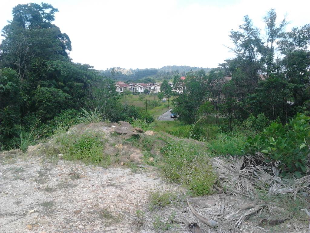 Taman Equine Bungalow Land Flat and Square 130PSF - photo 3