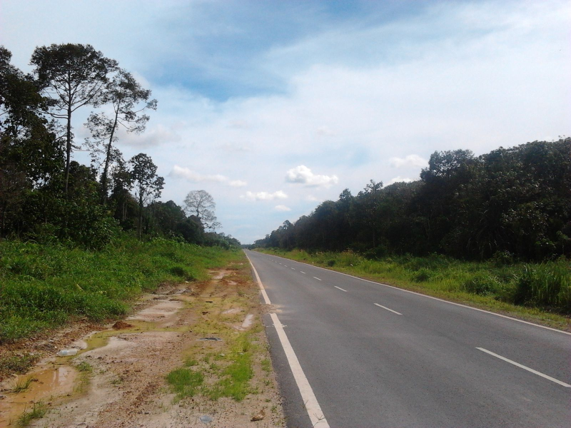 Sepang 60 Acre Industrial or Mix Development Land - photo 2