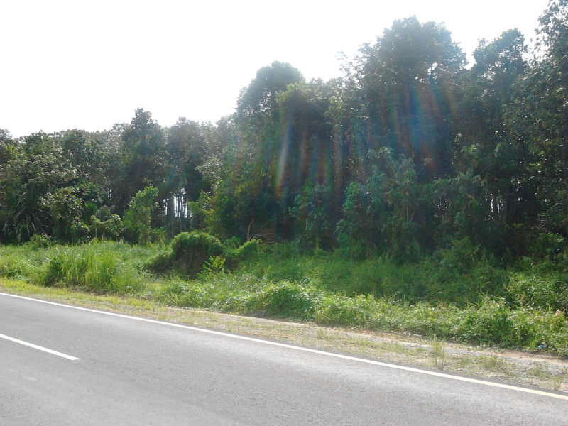 Sepang 60 Acre Industrial or Mix Development Land - photo 3
