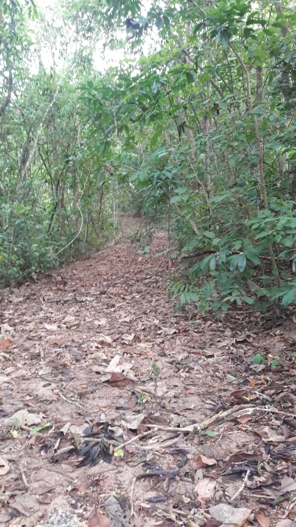 TANAH PERADONG JELEBU NEGERI SEMBILAN - photo 5