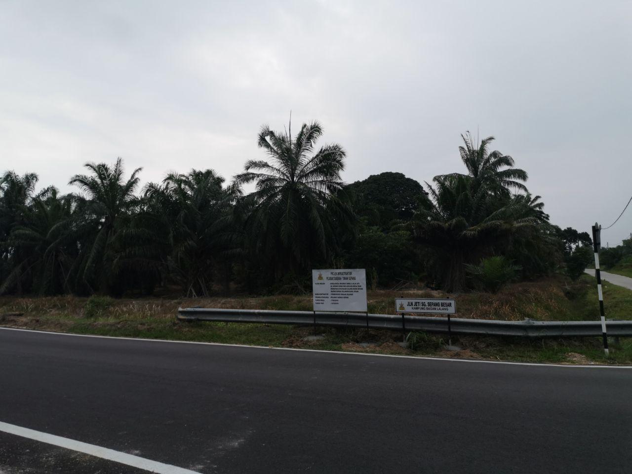 BAGAN LALANG SEPANG SELANGOR - photo 4