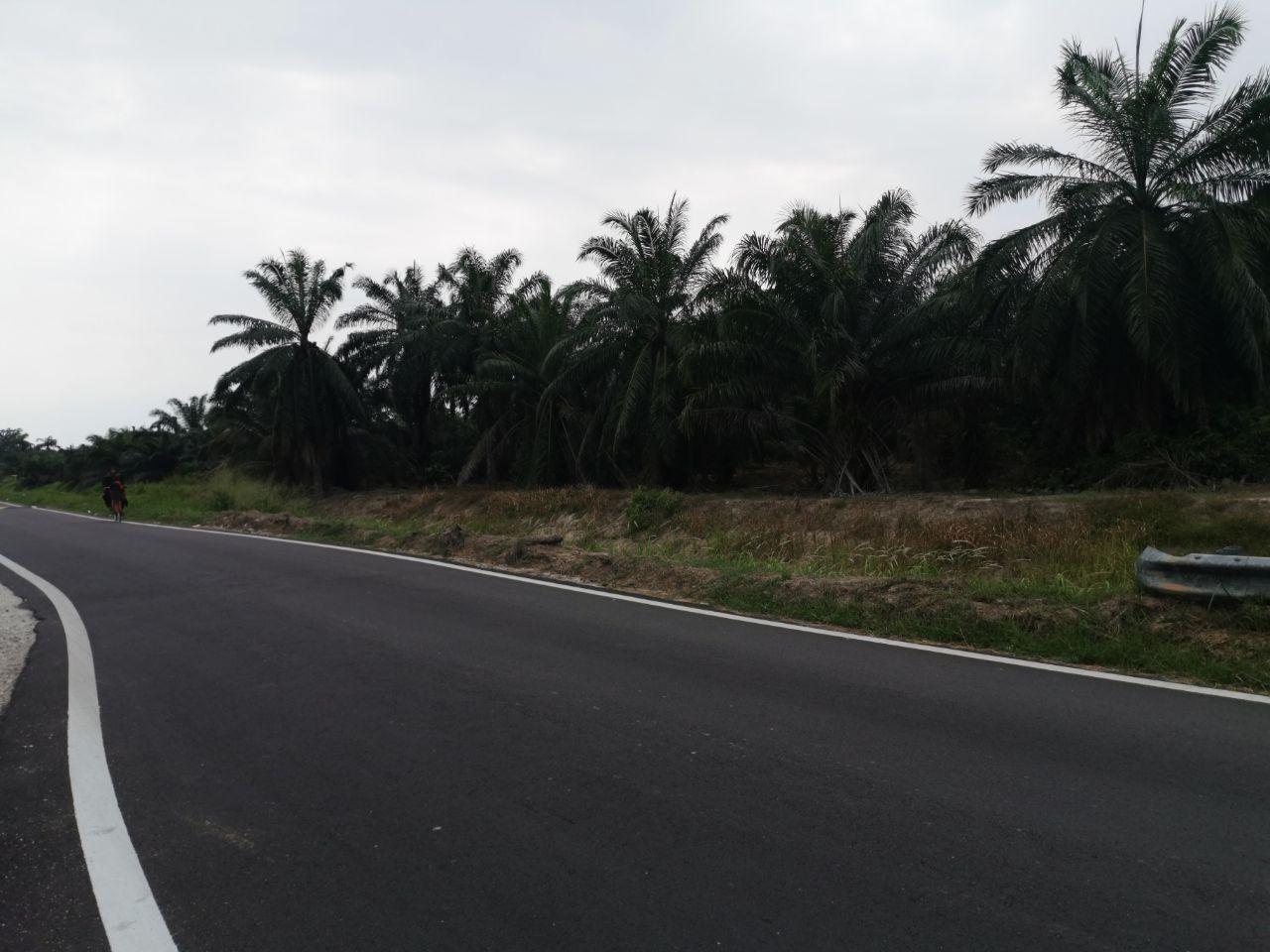 BAGAN LALANG SEPANG SELANGOR - photo 8