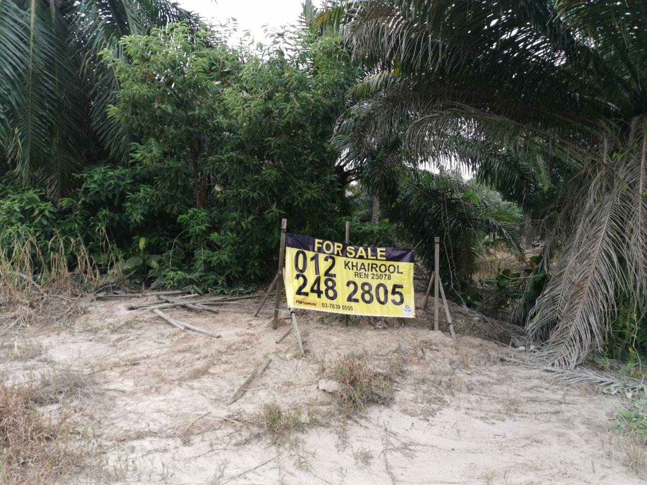 BAGAN LALANG SEPANG SELANGOR - photo 12