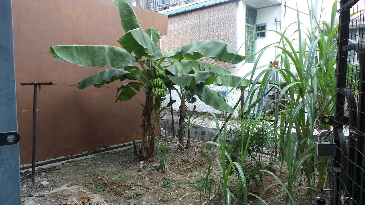 2 Storey Saujana Impian Kajang, Bangi - photo 6
