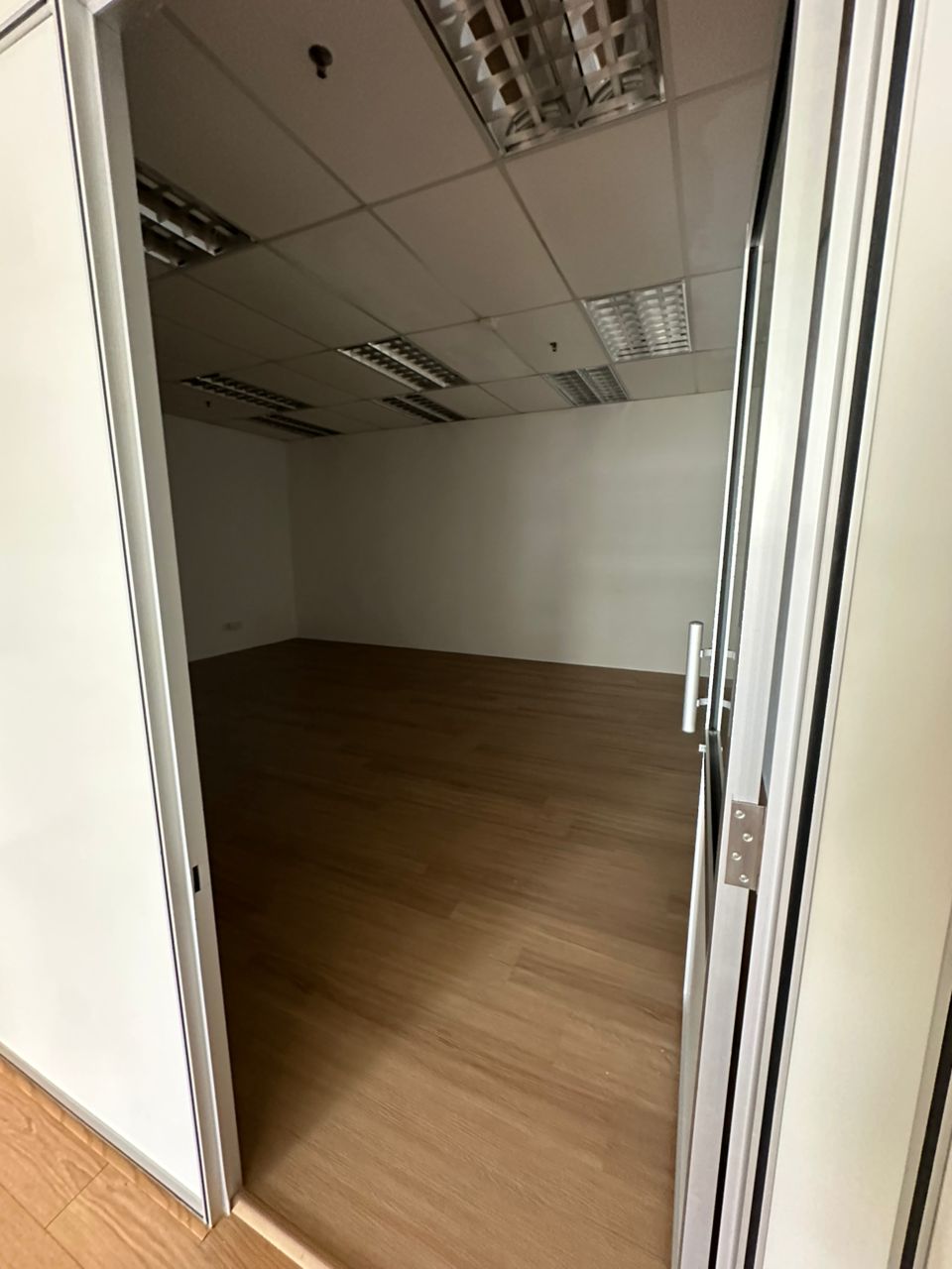 Elite Avenue Renovated unit - photo 5