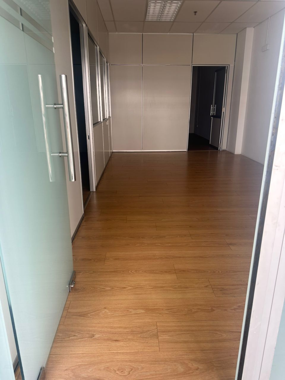 Elite Avenue Renovated unit - photo 7