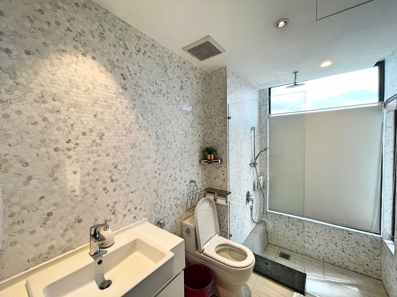 Penthouse Anjali North Kiara - photo 2