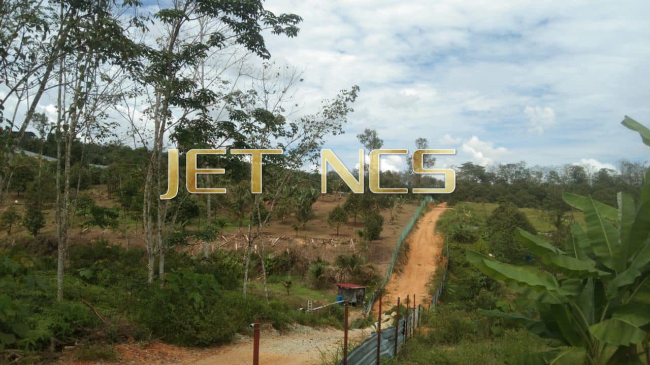 261360sqft Durian Farm For Sale Tanjung Mailm - photo 4