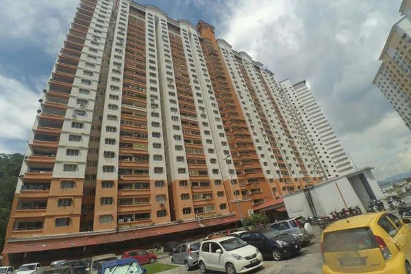 Flora Damansara, Damansara Perdana, Selangor - photo 2