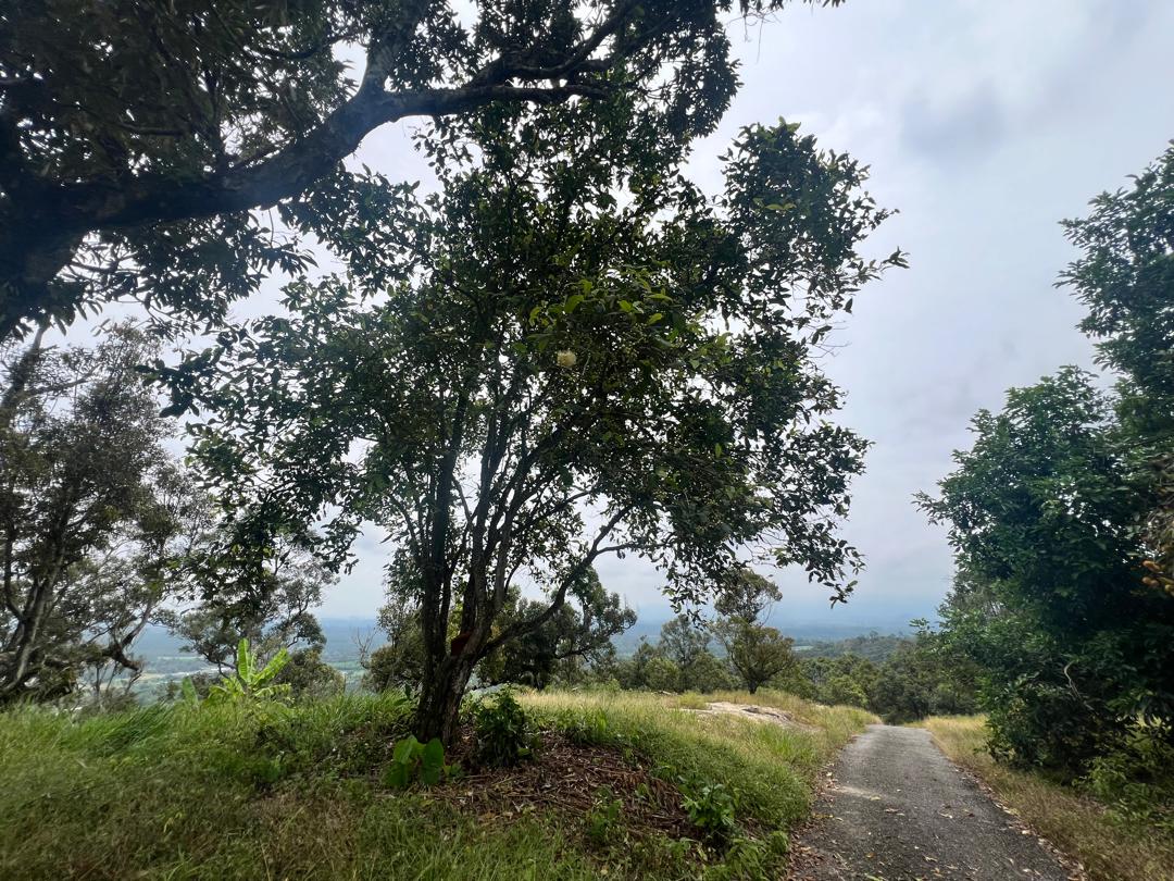 Seremban Mantin Agriculture Freehold Land For Sale - photo 3