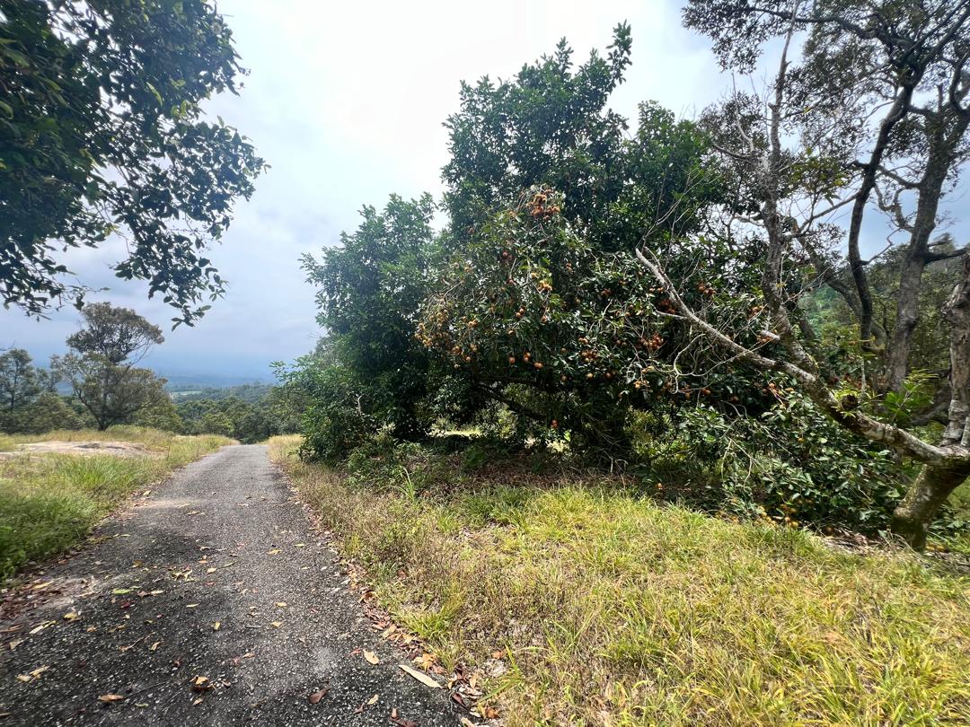 Seremban Mantin Agriculture Freehold Land For Sale - photo 4