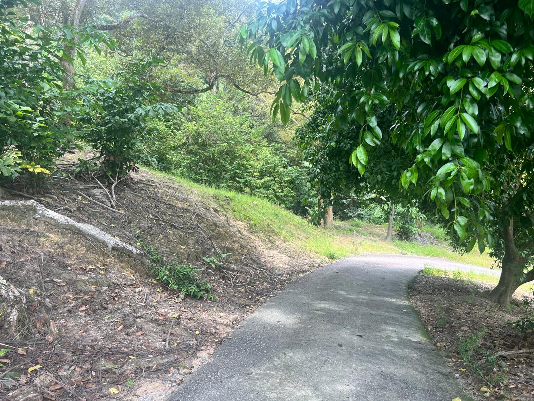 Seremban Mantin Agriculture Freehold Land For Sale - photo 6