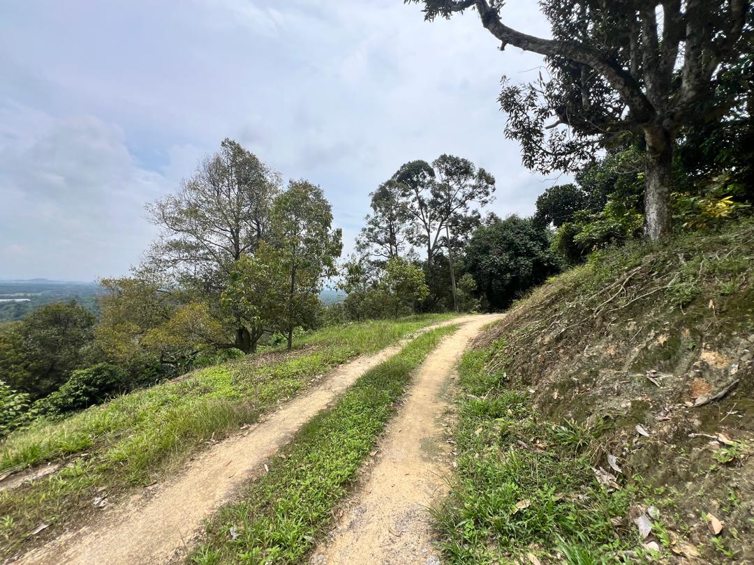 Seremban Mantin Agriculture Freehold Land For Sale - photo 7