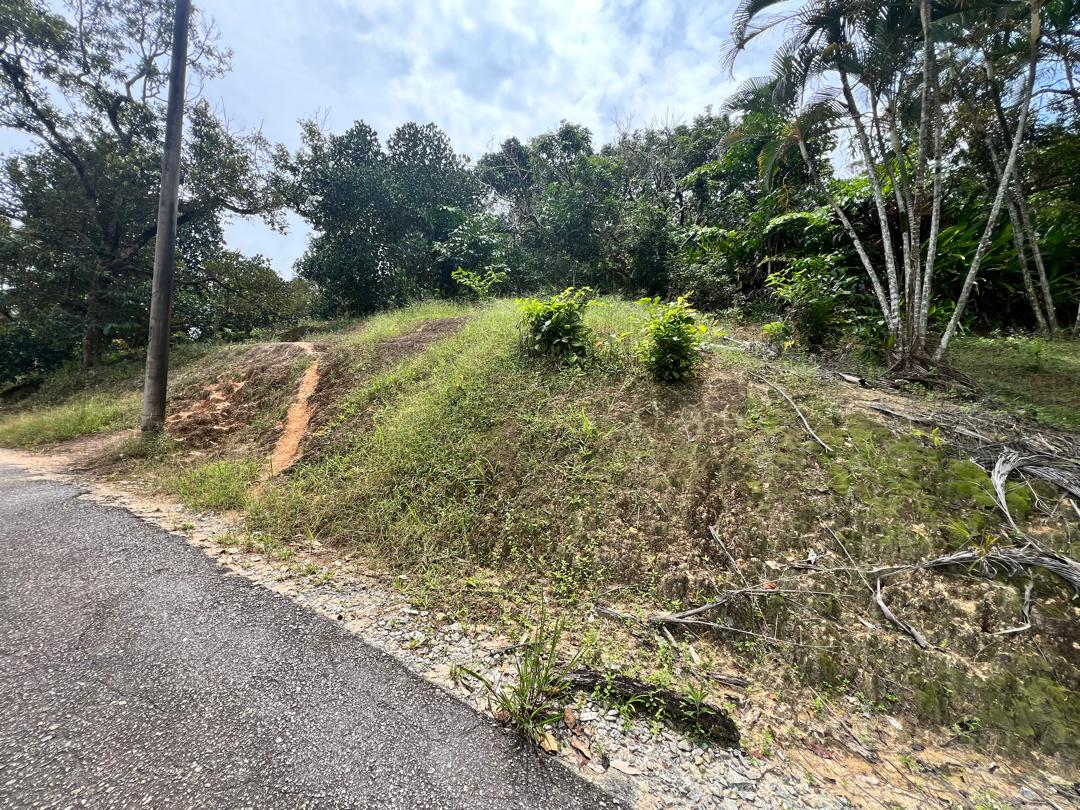 Seremban Mantin Agriculture Freehold Land For Sale - photo 8
