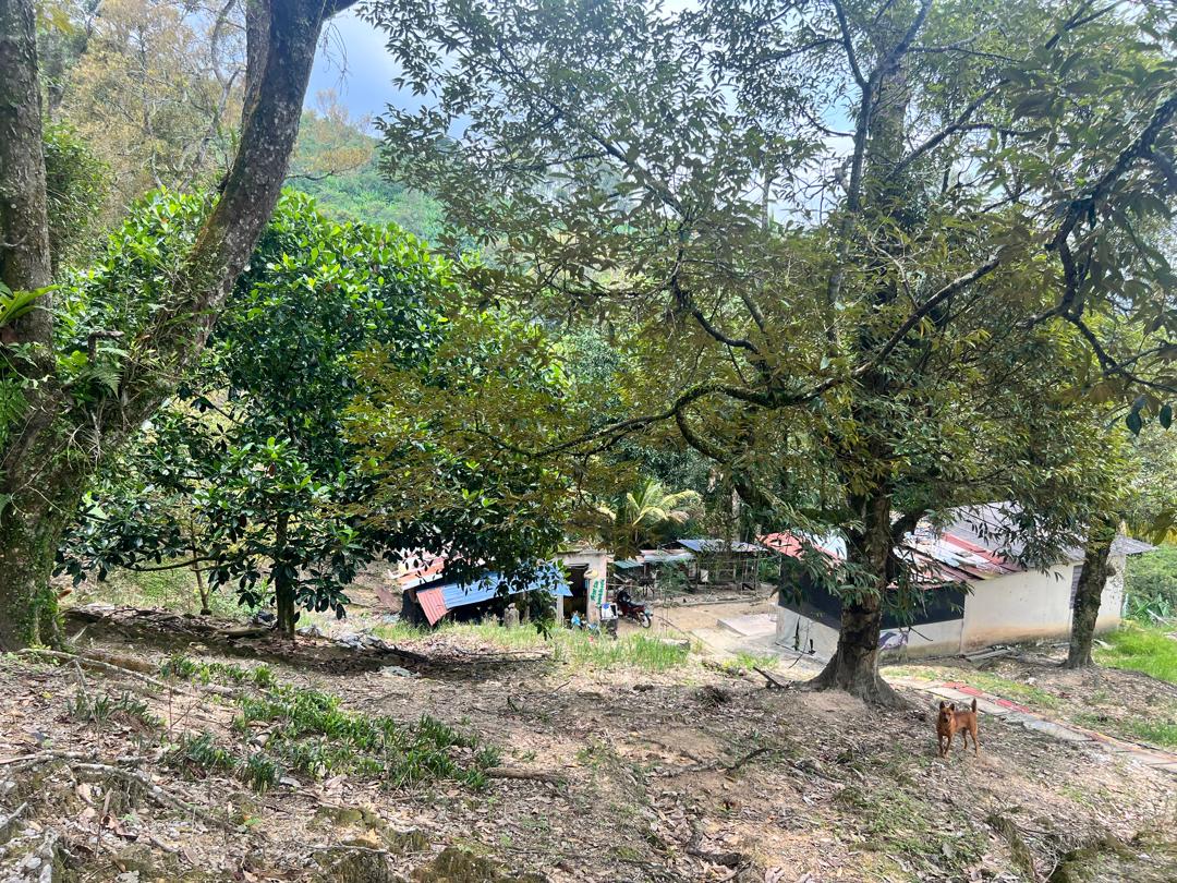 Seremban Mantin Agriculture Freehold Land For Sale - photo 11