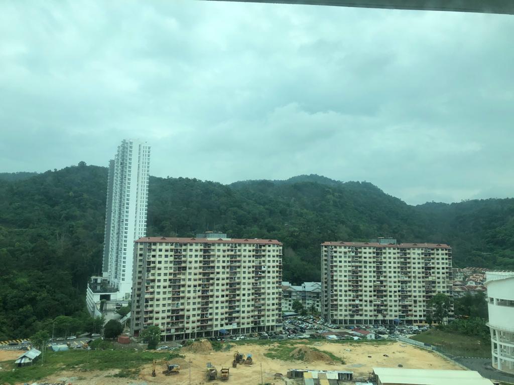 Forest Ville Cheap - photo 7