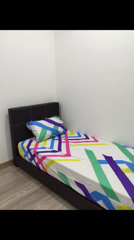 Scenaria - photo 4