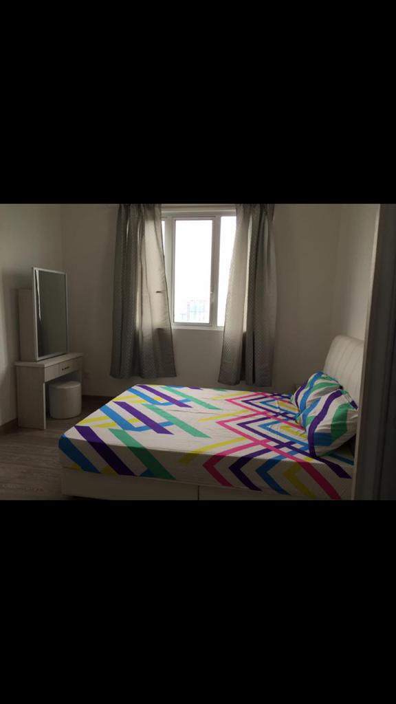 Scenaria - photo 7