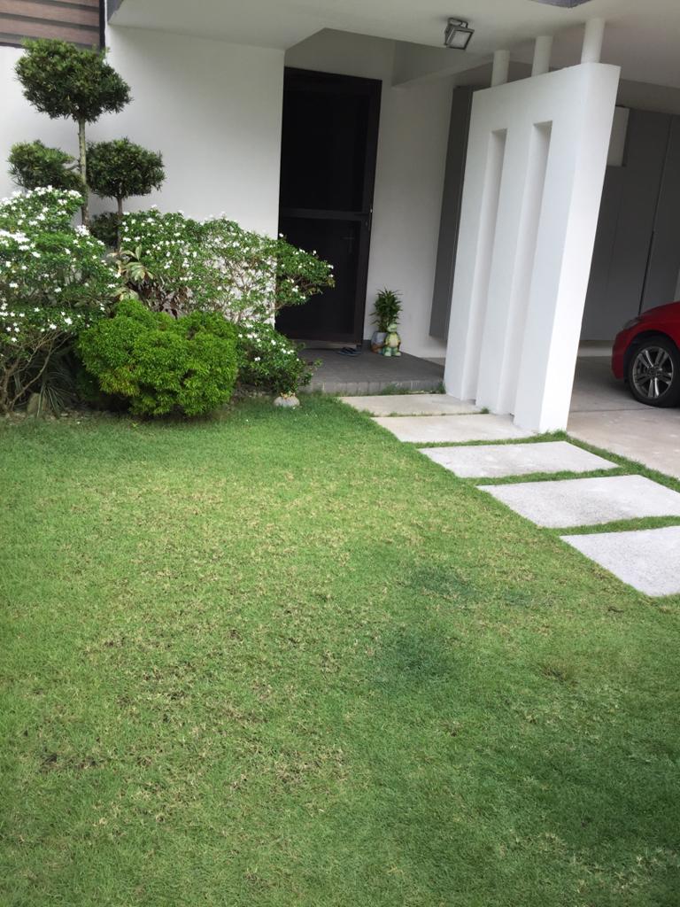 Twin Palms Sungai Long - photo 2