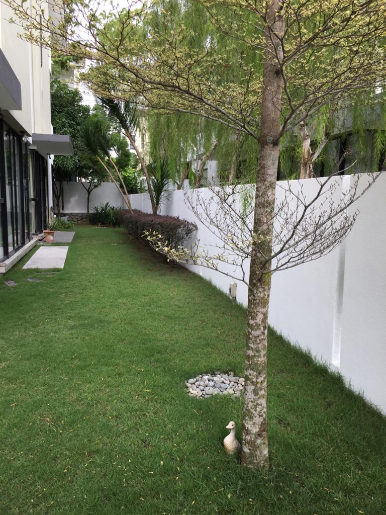Twin Palms Sungai Long - photo 6