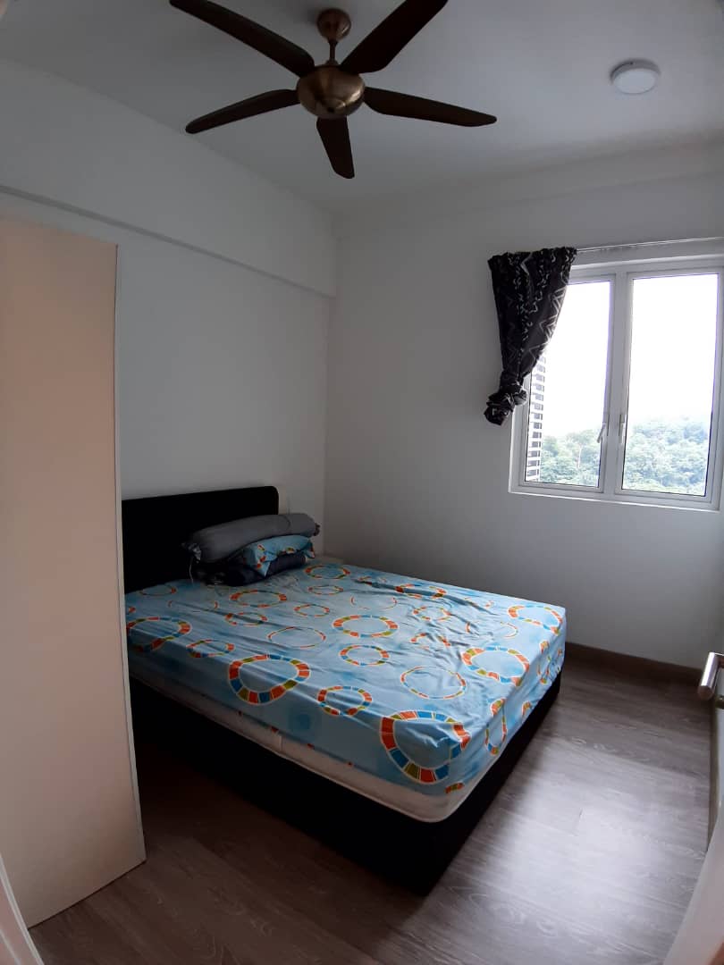 Scenaria - photo 6