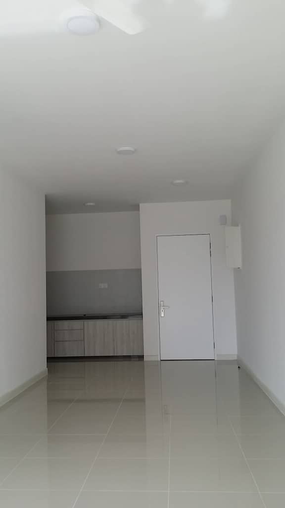 Scenaria - photo 2