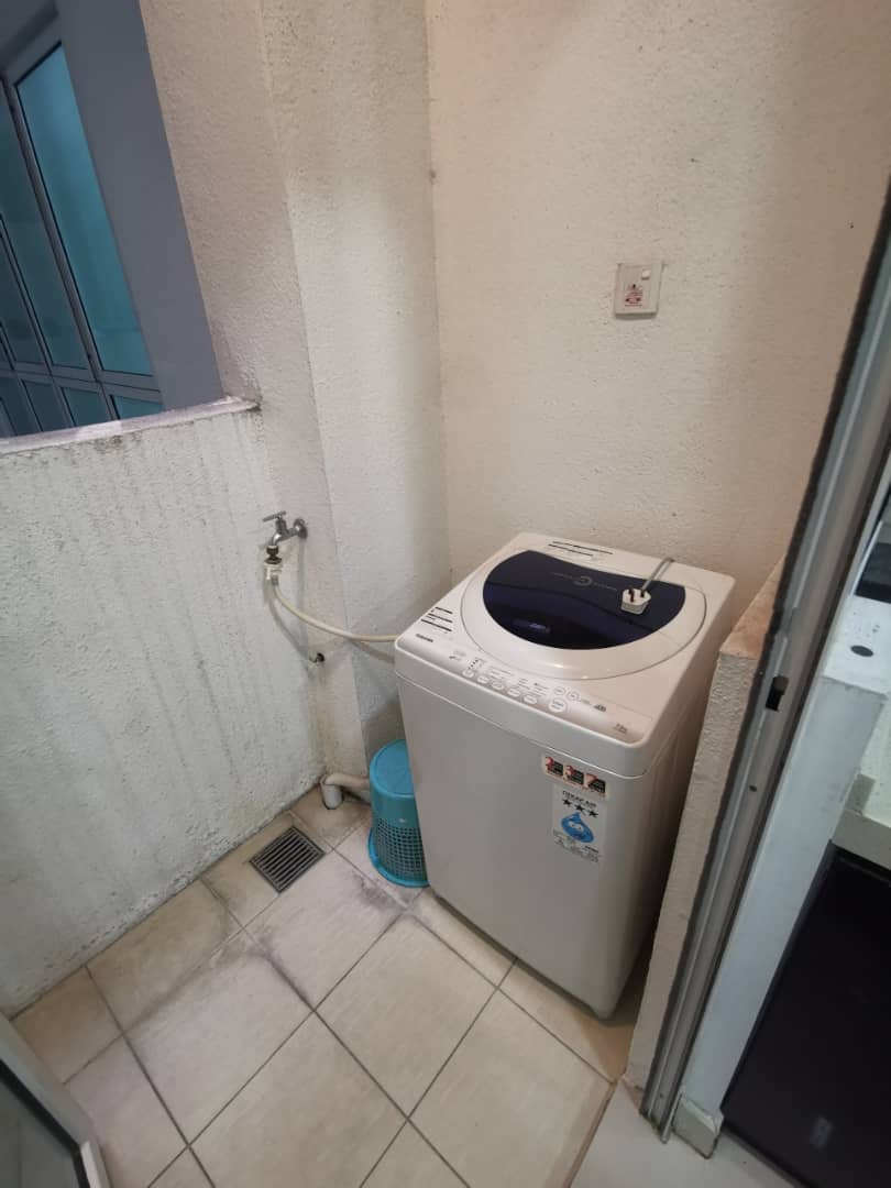 Scenaria - photo 3