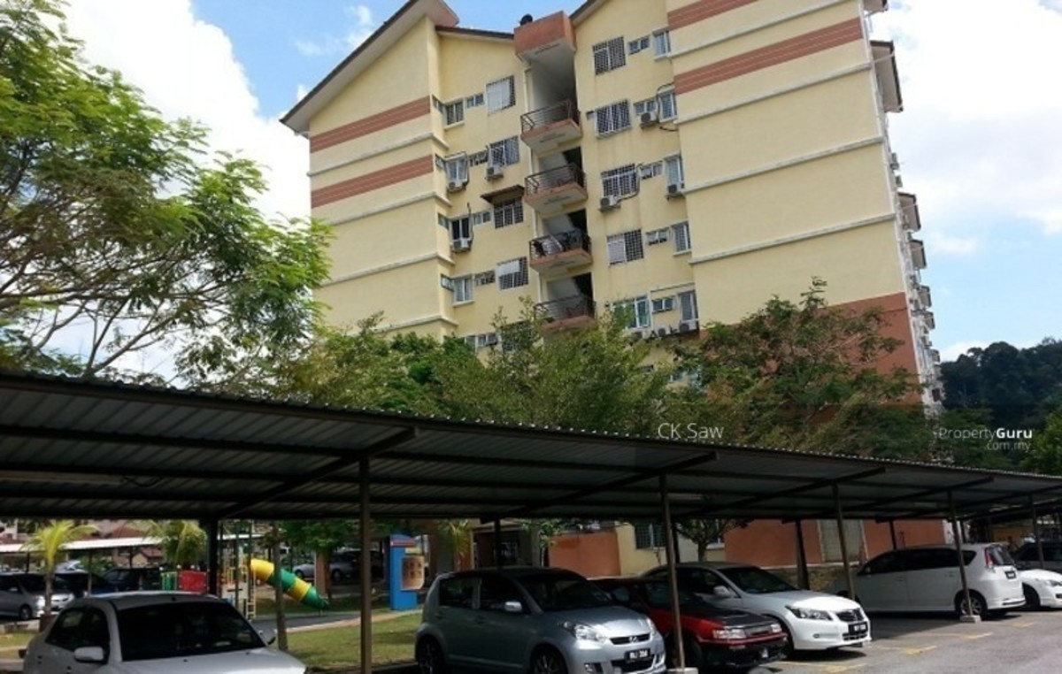 Vista Hatamas