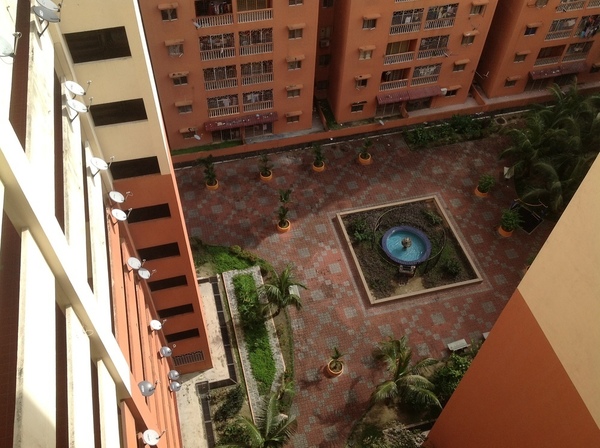 SRI CAMELLIA - photo 4