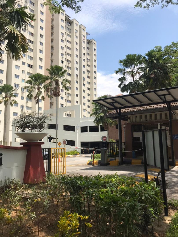 Danau Murni Taman Desa condominiums - photo 3