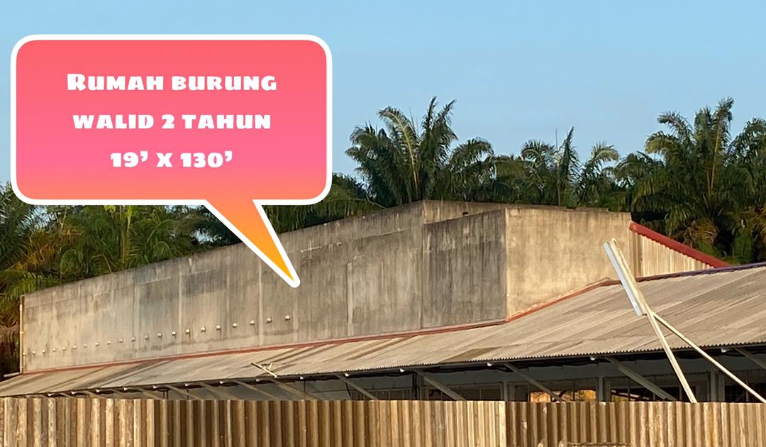 4 acres tanjung malim resort agriculture land sale - photo 4